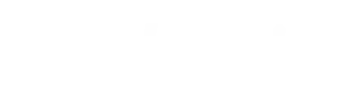 shopify_1x